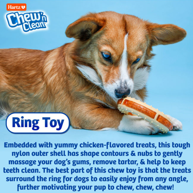 Hartz Chew 'n Clean ring toy are chicken flavored treats.