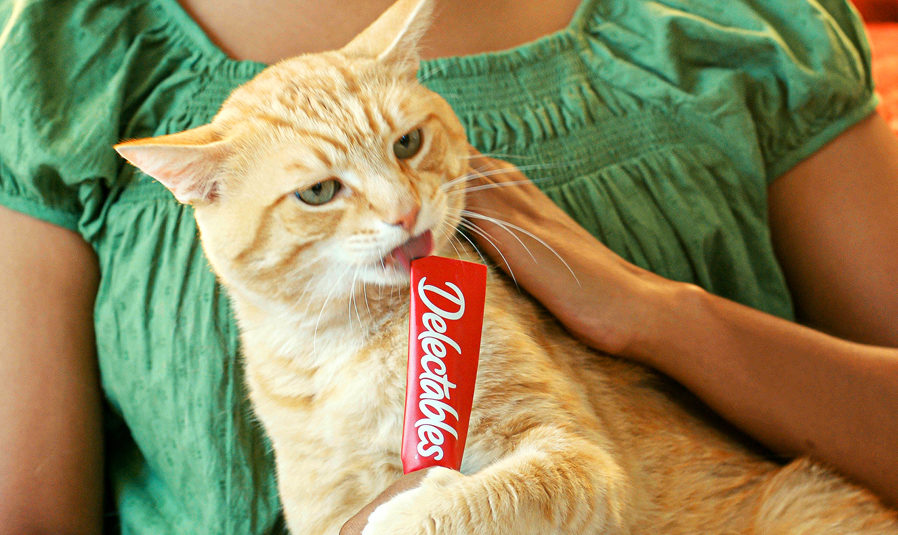 Delectables Squeeze Up hand held lickable cat treat.