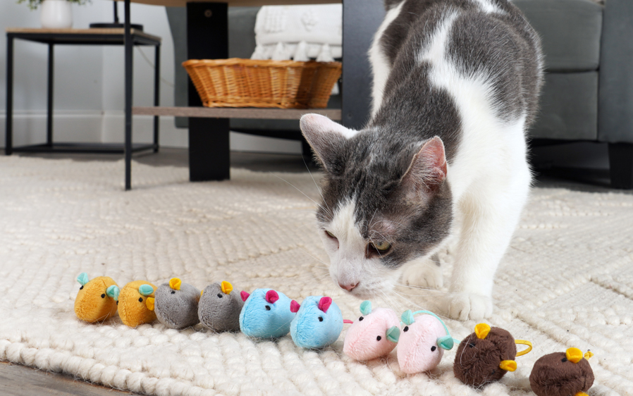 Cat playing with Crinkle Mice cat toy with silver vine and catnip