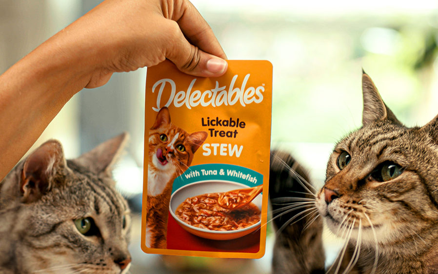 Cats wanting Delectables lickable cat treat stew.