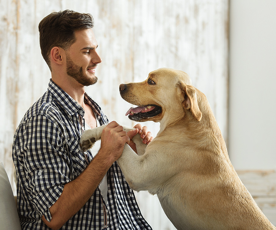 Hyperactive Dog - Excited dog leaning on its owner