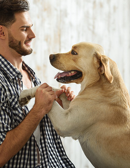 Hyperactive Dog - Excited dog leaning on its owner