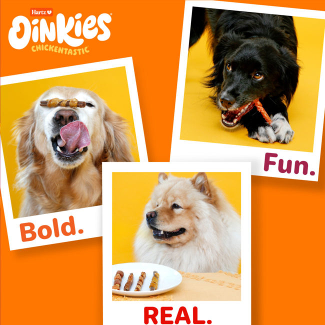 Oinkies Chickentastic dog chew treat. Bold. Real. Fun.