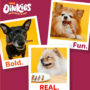Oinkies Meathouse 'N' Veg Hearty dog chews. Bold. Real. Fun.