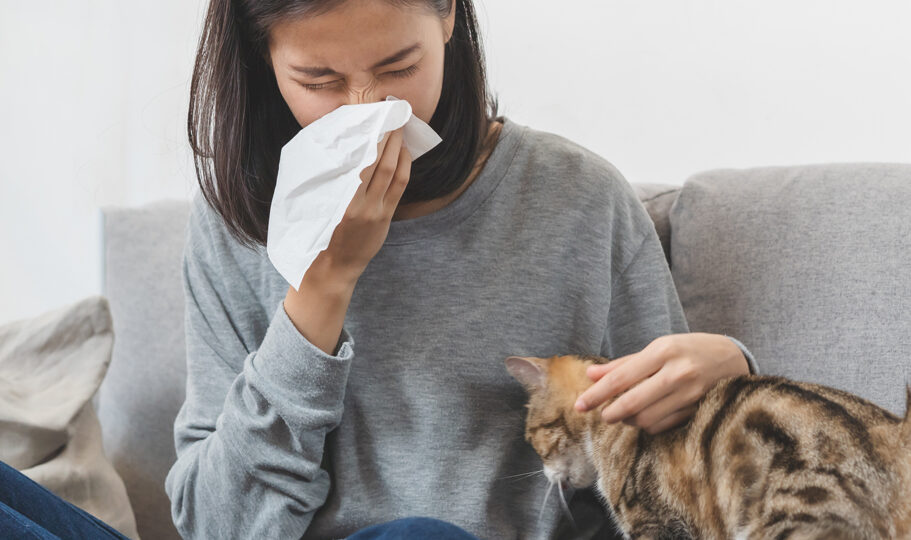 How Can Those with Pet Allergies Live Comfortably with Pets?