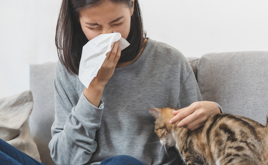 How Can Those with Pet Allergies Live Comfortably with Pets?