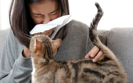 Pet Allergies - Woman sneezing into a tissue on the sofa with her cat.