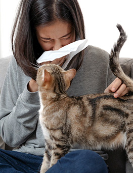 Pet Allergies - Woman sneezing into a tissue on the sofa with her cat.