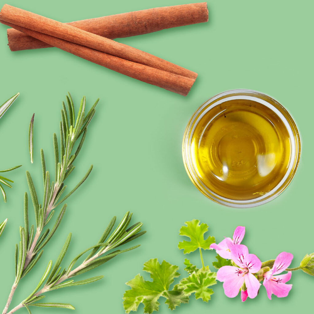 Hartz Nature's Shield Dog Shampoo Hartz