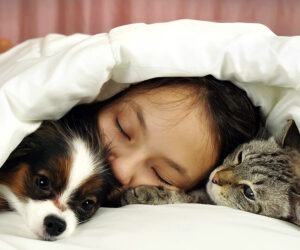 Fleas in Bed - Teen girl sleeping in a bed with dog and cat