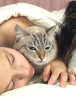 Fleas in Bed - Teen girl sleeping in a bed with dog and cat