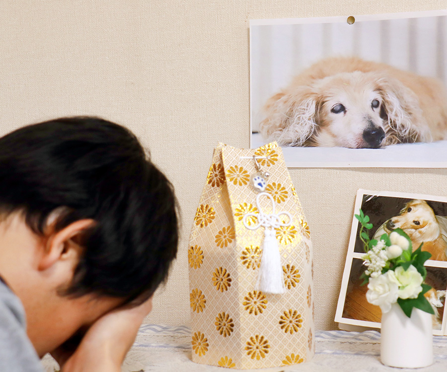 How to deal with the loss of a pet - Grieving man with head in hands in front of photos of pet dog