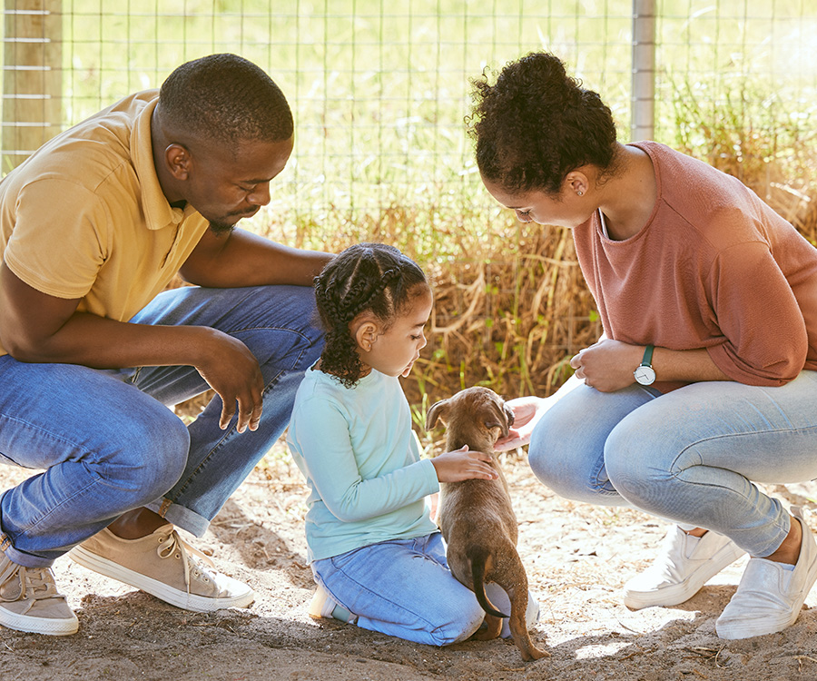 How to deal with the loss of a pet - family with puppy at animal shelter