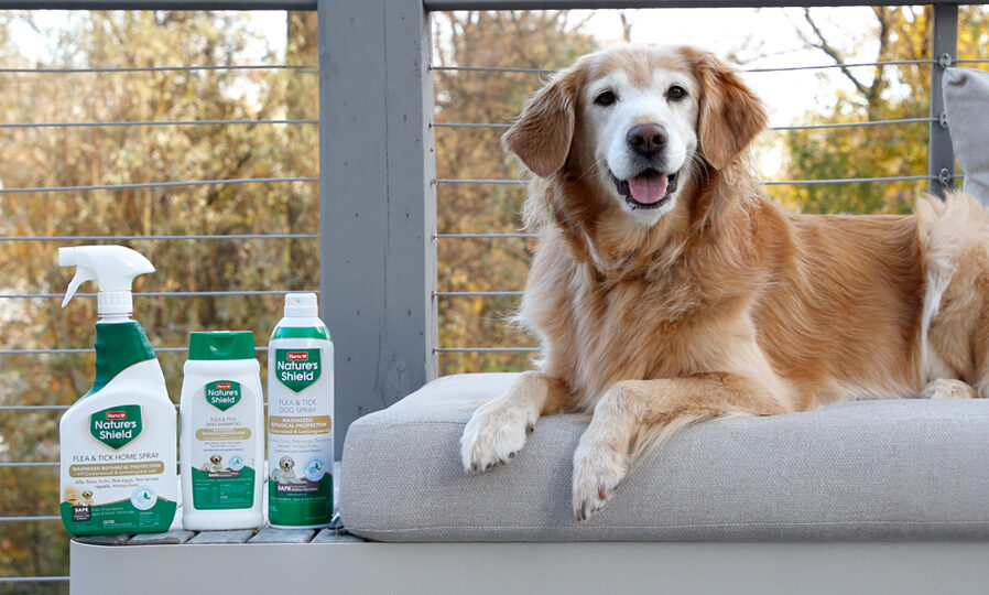 Hartz Nature's Shield natural flea & tick products.