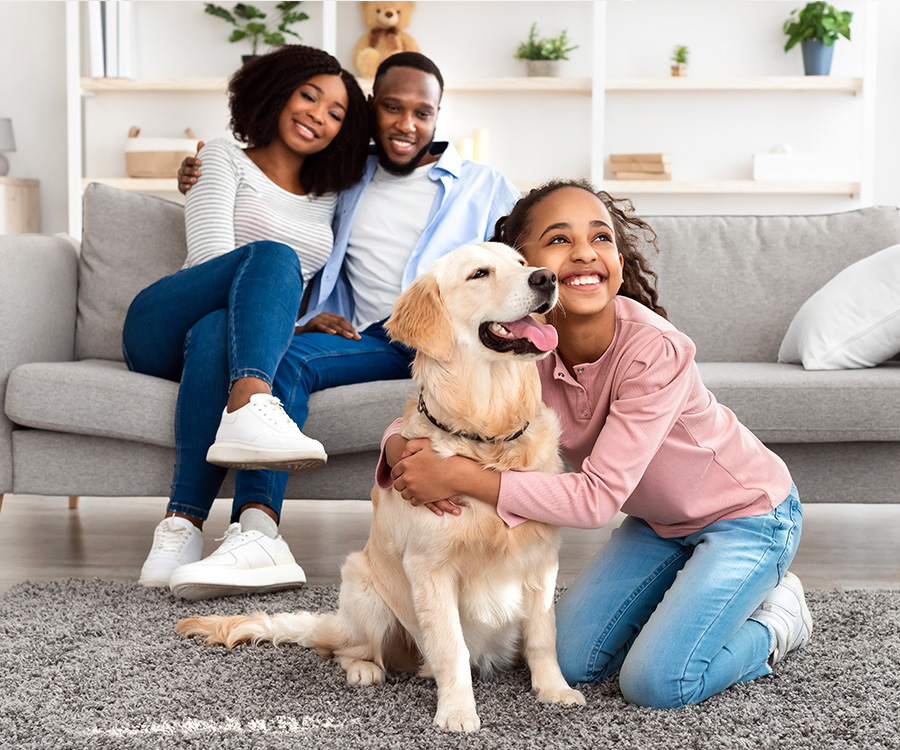 Dog Treats for Training - Smiling African American girl hugging golden retriever at home in living room, parents sitting on sofa.