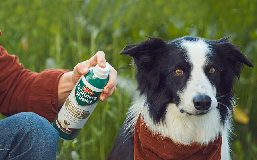 Nature's Shield is a natural insect repellent