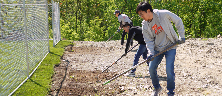 Hartz volunteers helping shelter dogs.