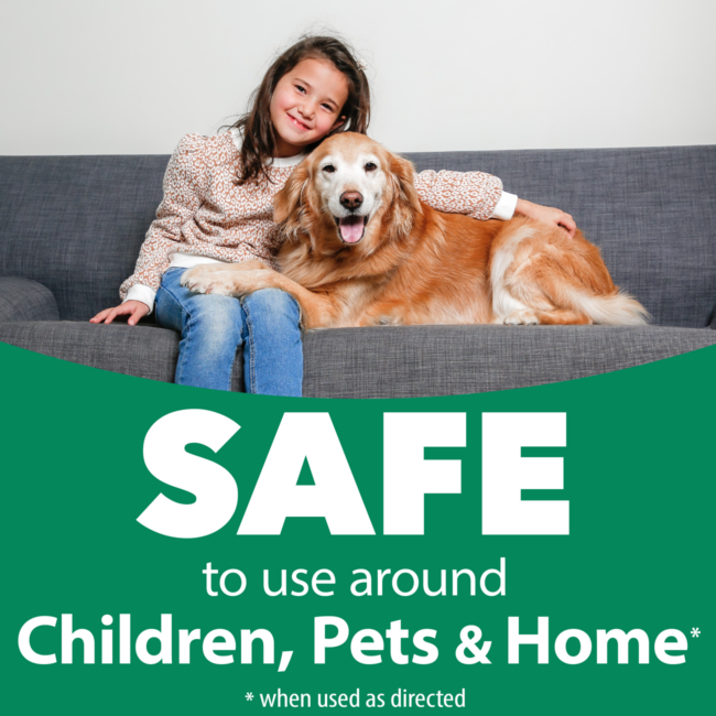 safe natural flea and tick protection