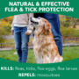 natural effective flea protection