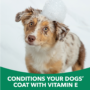 natural flea & tick protection for dogs