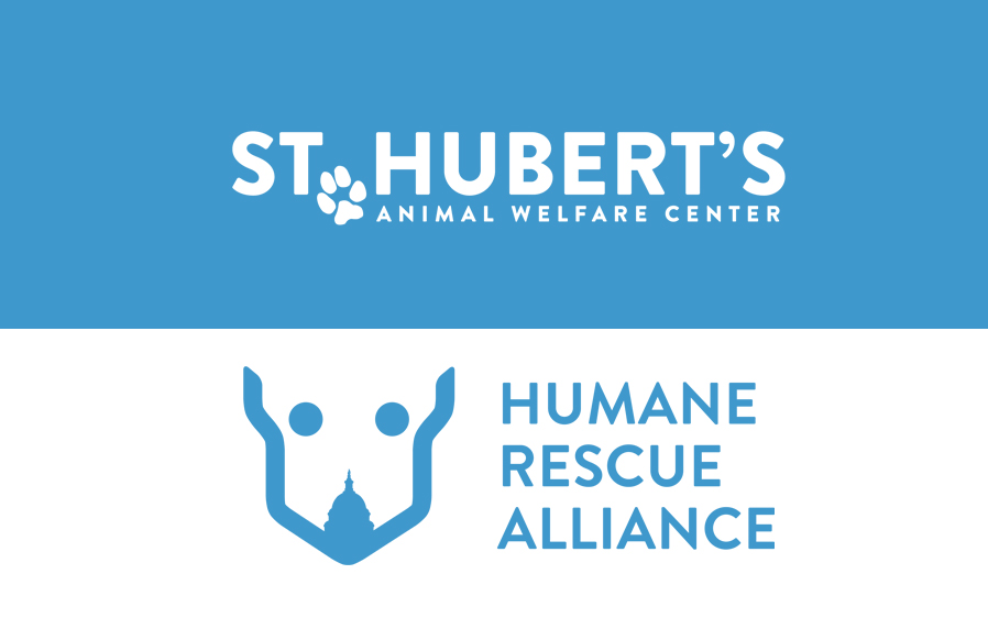 Hartz partners with St Hubert's Animal Welfare Center and the Humane Rescue Alliance as a source for foster pet outreach.