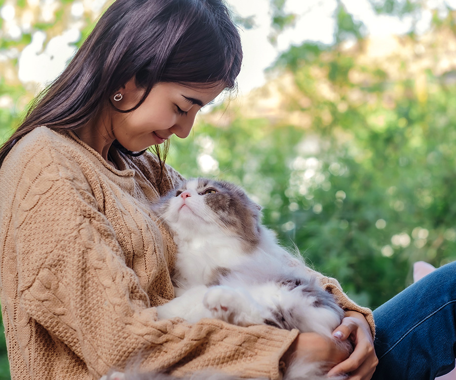 Health benefits of cats purring - Woman with long hair in brown sweater and jean holding persain cat in her lap
