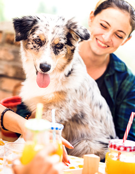 Pet Safety Tips 4th of July - Young people with cute dog having fun outdoors at party