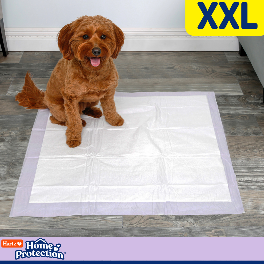 Hartz® Home Protection™ XXL Odor Eliminating Dog Pads 40 Count