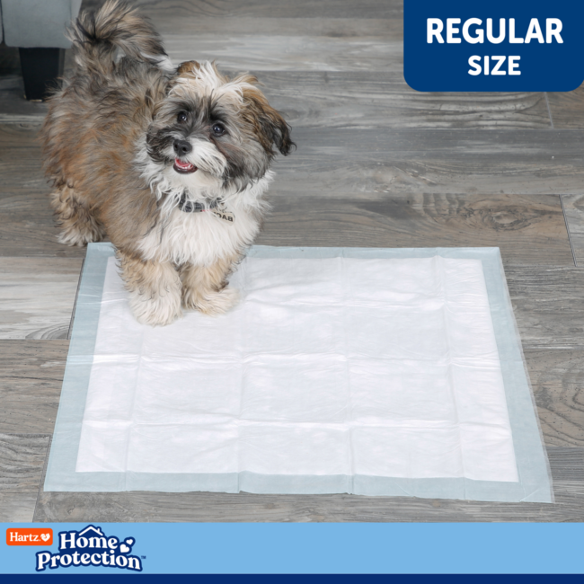 Regular size dog training pads.