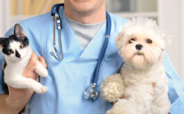 After Neuter - Happy vet holding cat and dog,