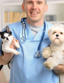 After Neuter - Happy vet holding cat and dog,