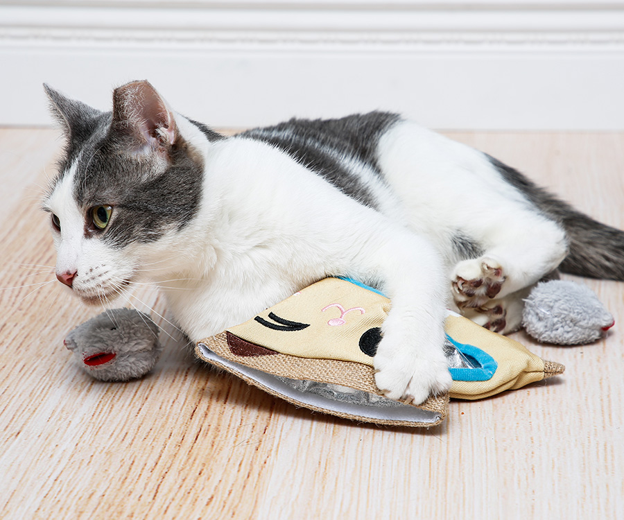 Best toy for cat - White & gray cat lies o floor with a Hartz Captivate Bag O' Fuzzies Cat Toys