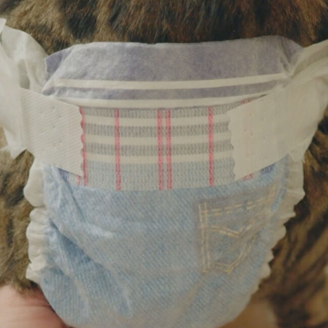 Hartz Comfitables Cat Diapers Size L 13.5 17.5 lbs. Hartz