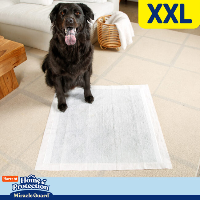 XXL odor preventing, extra absorbent dog pads.