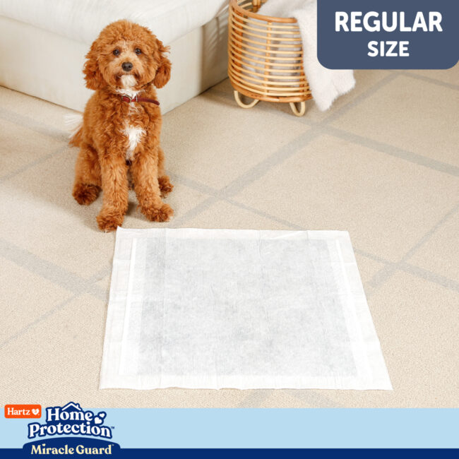 Regular size odor preventing, extra absorbent dog pads.