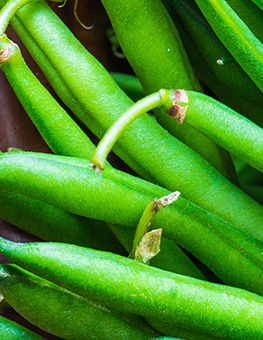 Nutritional People Food for Pets - Closeup of green stringbeans