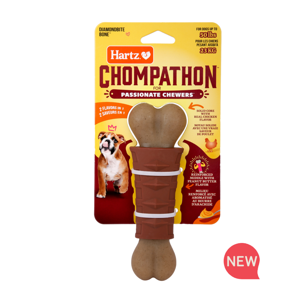 Fun & Educative Toys for Dogs Hartz