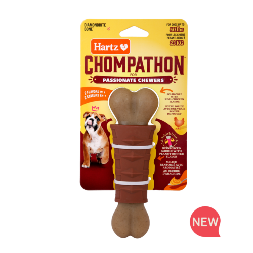 Fun & Educative Toys for Dogs Hartz