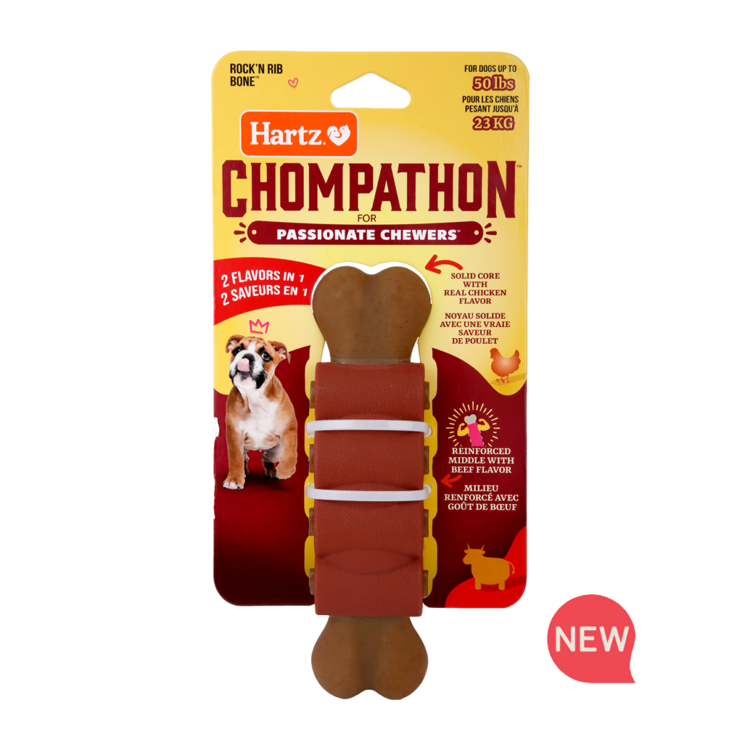 Fun & Educative Toys for Dogs Hartz