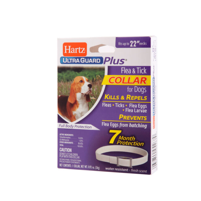 The Hartz UltraGuard Plus flea and tick dog collar provides flea and tick control for dogs.