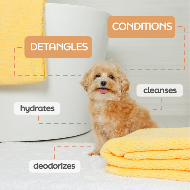 True Coat detangle shampoo for dogs, detangles, conditions, hydrates and cleanses.