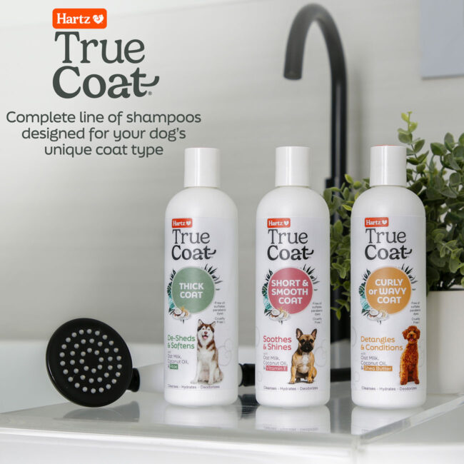 Hartz True Coat offers deshedding shampoo for dogs, detangler shampoo for dogs and soothing dog shampoo.