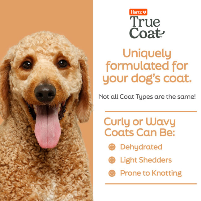 Hartz True Coat dog detangler shampoo for dogs with curly or wavy coats.