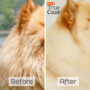 Hartz True Coat Thick Coat detangle shampoo for dogs, before and after photo.