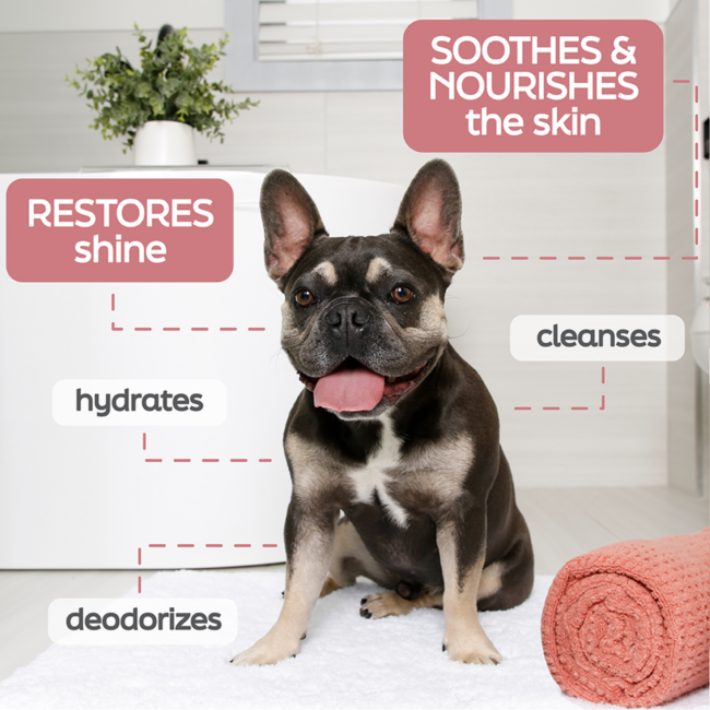 True Coat soothe shampoo for dogs, soothes, nourishes and restores shine. hydrates and cleanses.