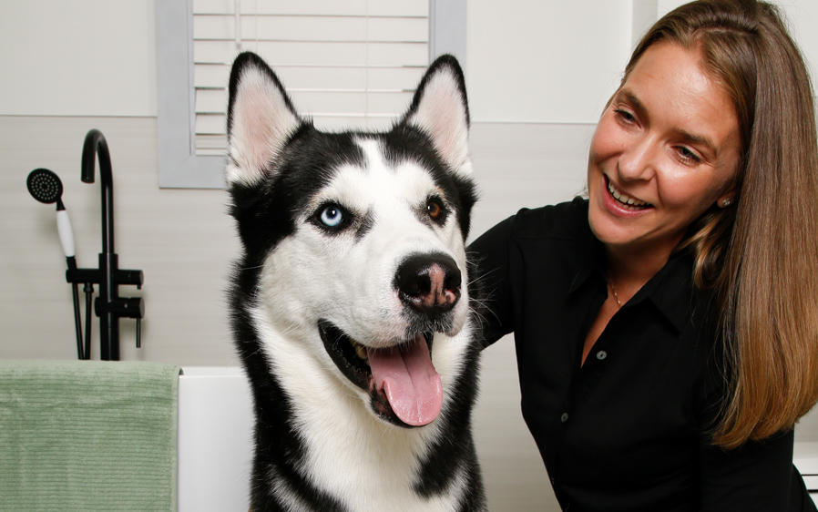 Freshly washed with dog deshedding shampoo dog posing with with owner.