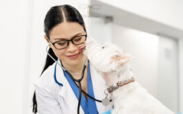 Checkups for dogs - Little white dog licking dark-haired vet wearing glasses during examination.