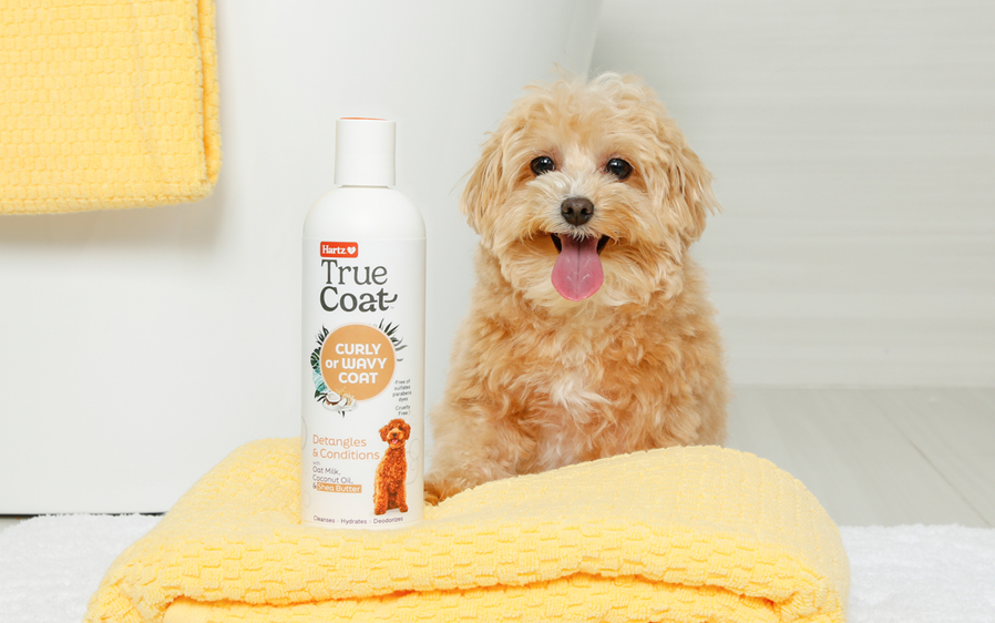 Hartz True Coat offers a detangler shampoo for dogs.