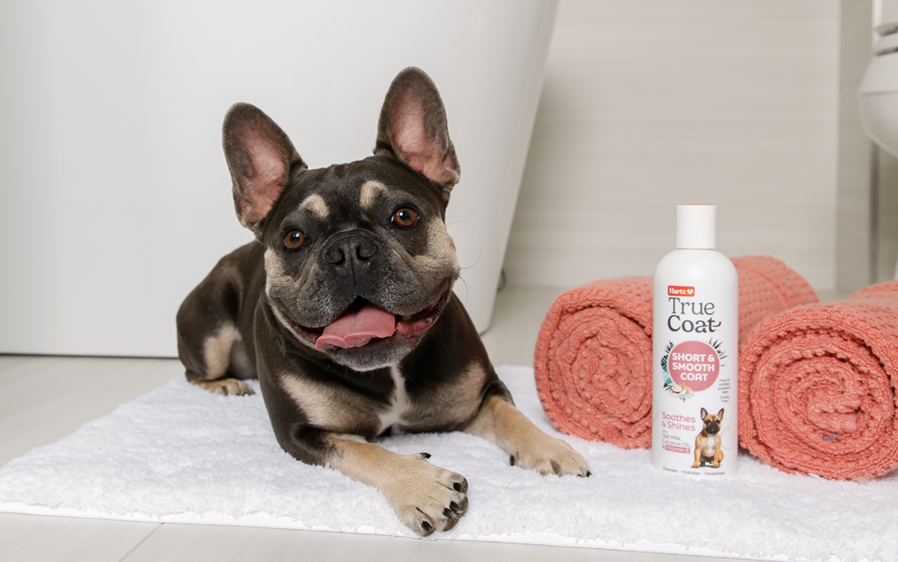 Hartz True Coat soothing shampoo for dogs.