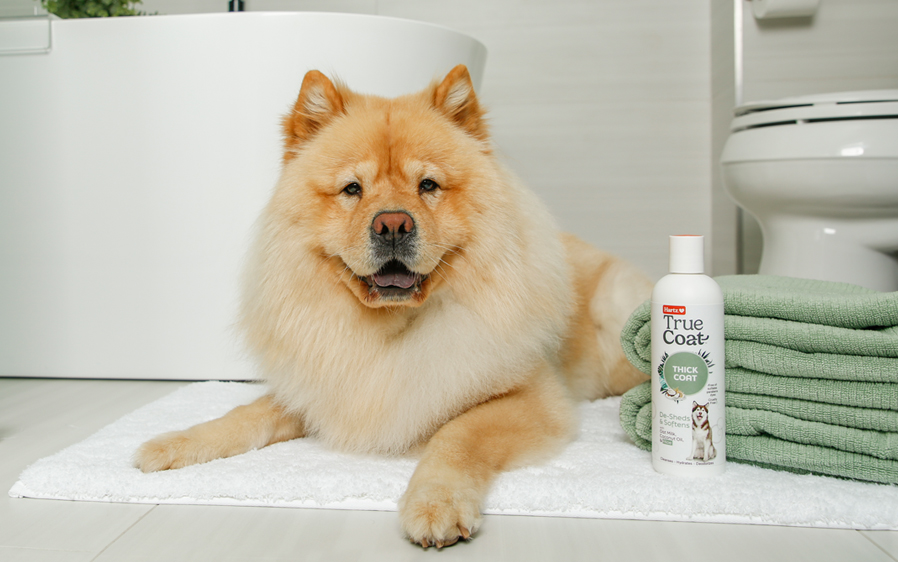 Hartz True Coat, Thick Coat dog shampoo is a deshedding shampoo for dogs.